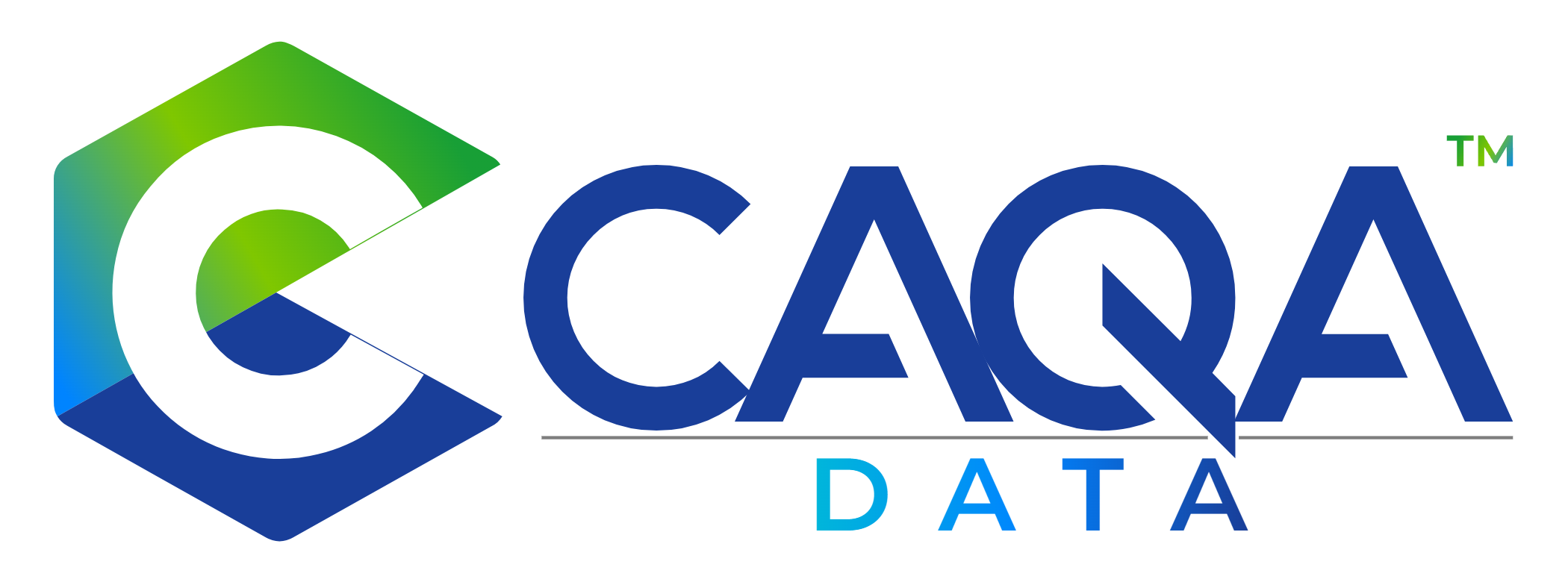CAQA Data logo